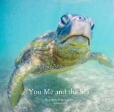 You, Me, and the Sea book cover