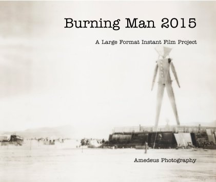 Burning Man 2015 book cover