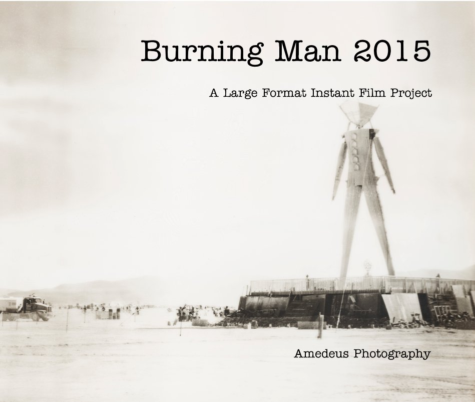 View Burning Man 2015 by Amedeus Photography