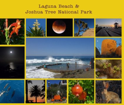 Laguna Beach & Joshua Tree National Park book cover