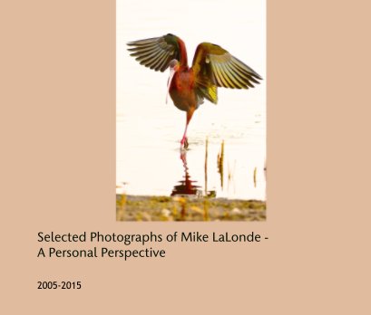 Selected Photographs of Mike LaLonde - A Personal Perspective book cover