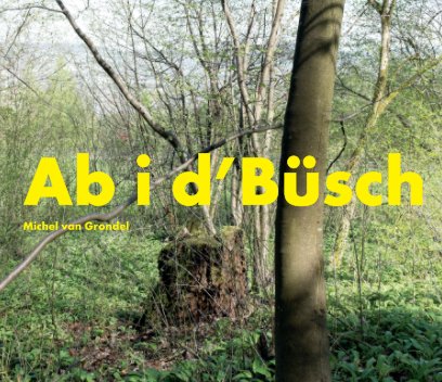 Ab i d'Büsch book cover