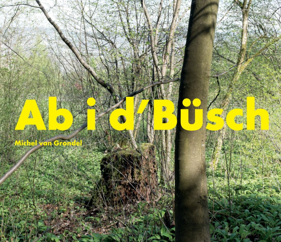 View Ab i d'Büsch by Michel van Grondel