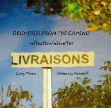 DELIVERIES FROM THE CAMINO book cover