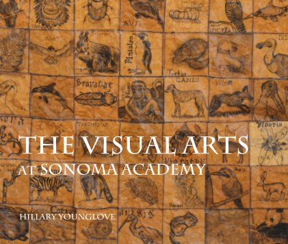 The VISUAL ARTS at Sonoma Academy book cover