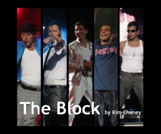 The Block book cover