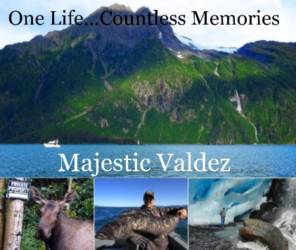 Majestic Valdez book cover