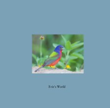 Evie's World book cover