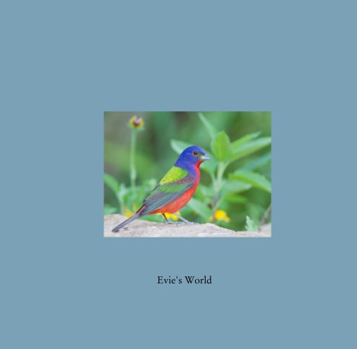 View Evie's World by Evie's World