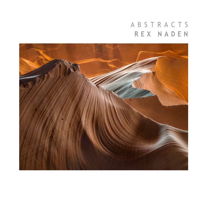 View Abstracts by Rex Naden