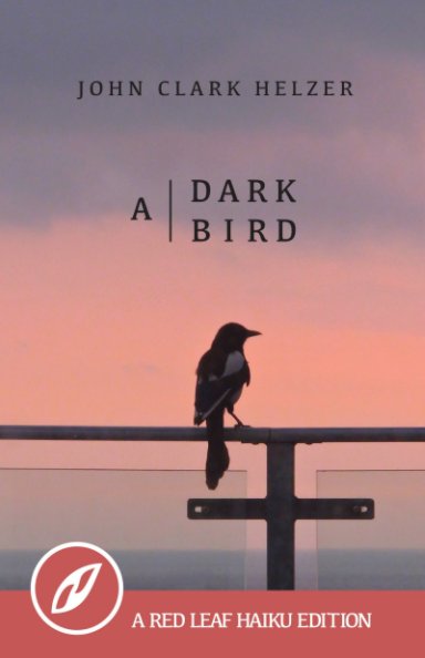 View A Dark Bird by John Clark Helzer