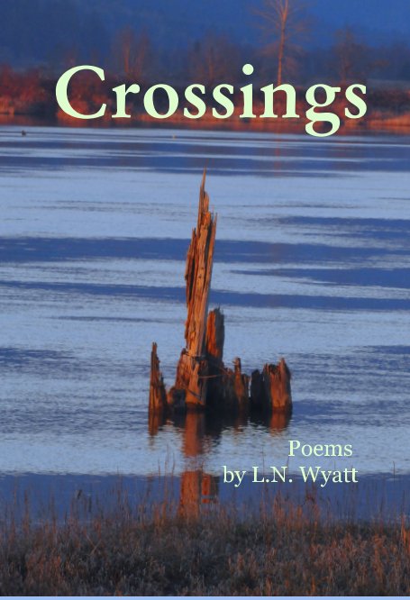 View Crossings by L N Wyatt