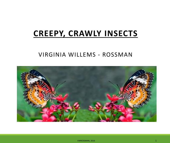 View Creepy, Crawly Insects by Virginia Willems-Rossman