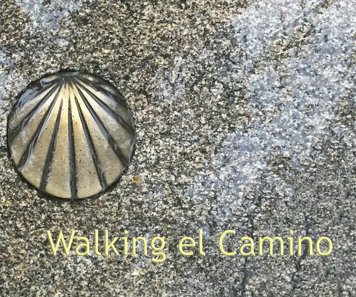 View Walking el Camino by M L Mace, Jr.