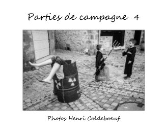Parties de campagne 4 book cover