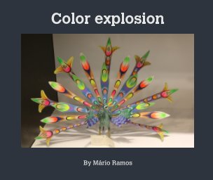 Color explosion book cover