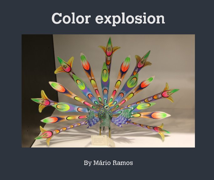 Ver Color explosion por Mario Ramos