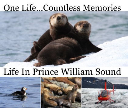 Life in Prince William Sound book cover