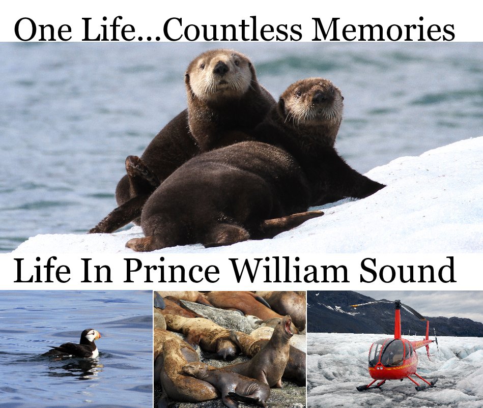 View Life in Prince William Sound by Life In Prince William Sound