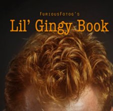 Lil' Gingy Book book cover