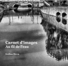 Carnet d'images book cover