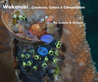 Wakatobi...Creatures, Colors & Competition book cover