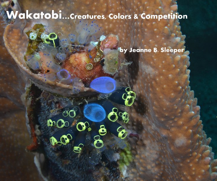 Ver Wakatobi...Creatures, Colors & Competition por Jeanne B. Sleeper