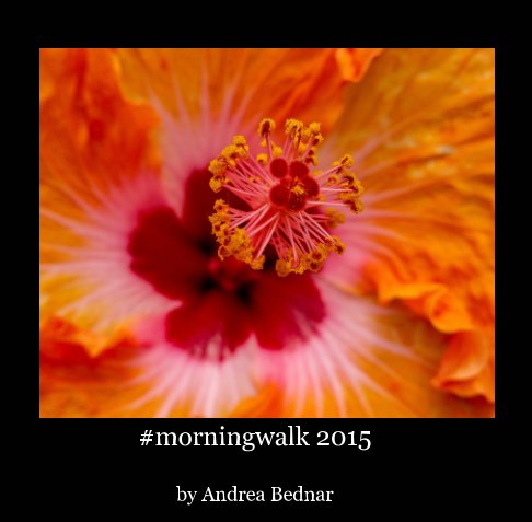 Bekijk #morningwalk 2015 op Andrea Bednar