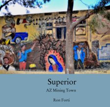 Superior           AZ Mining Town book cover