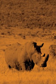 Alive! white rhino - Sepia - Photo Art Notebooks (6 x 9 version) book cover
