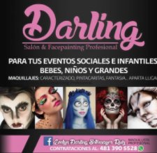 Darling, Salon Facepainting Profesional book cover