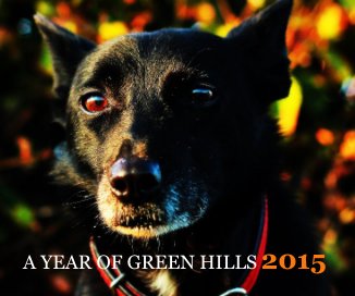 A Year of Green Hills 2015 book cover