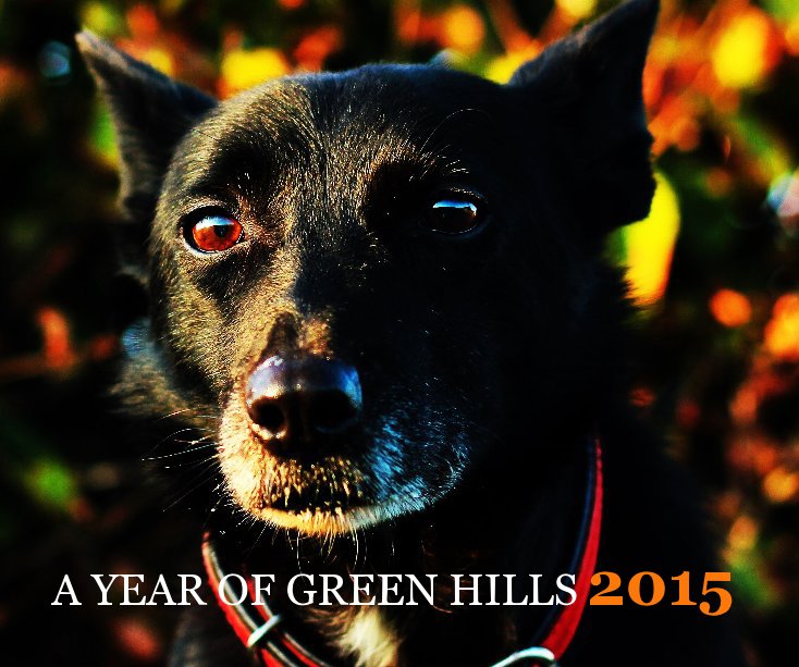 View A Year of Green Hills 2015 by Ruth McCracken