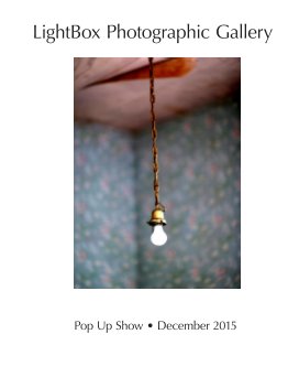 LightBox Pop Up Show • December 2015 book cover