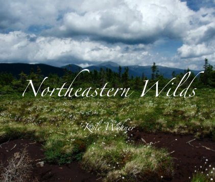 Northeastern Wilds book cover
