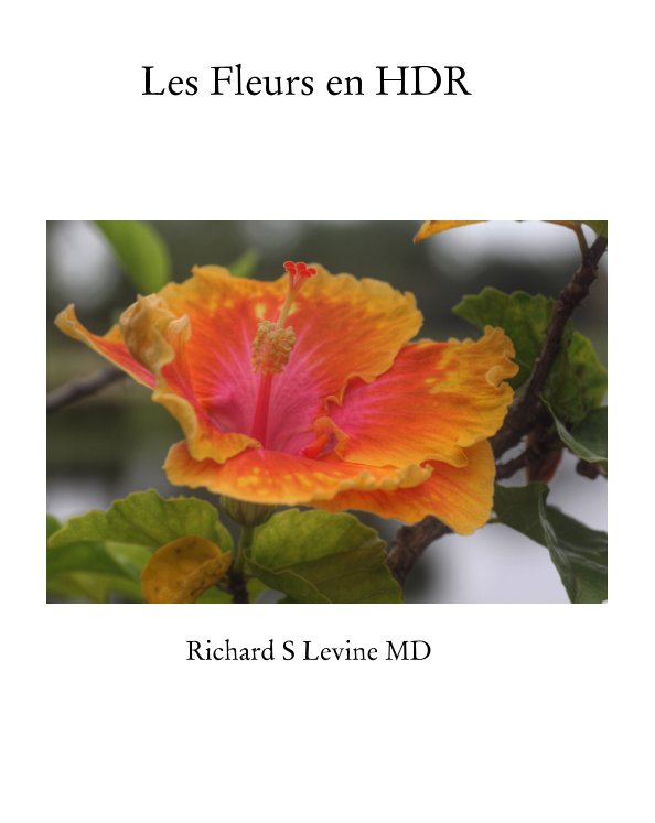 Bekijk Les Fleurs en HDR op Richard S Levine MD