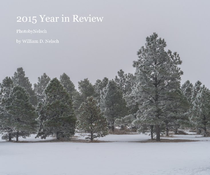 View 2015 Year in Review by William D. Nelsch