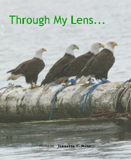 Through My Lens...Photos by:   Jeanette T. Mino book cover