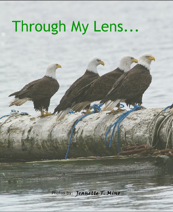 Ver Through My Lens...Photos by:   Jeanette T. Mino por Nettspics