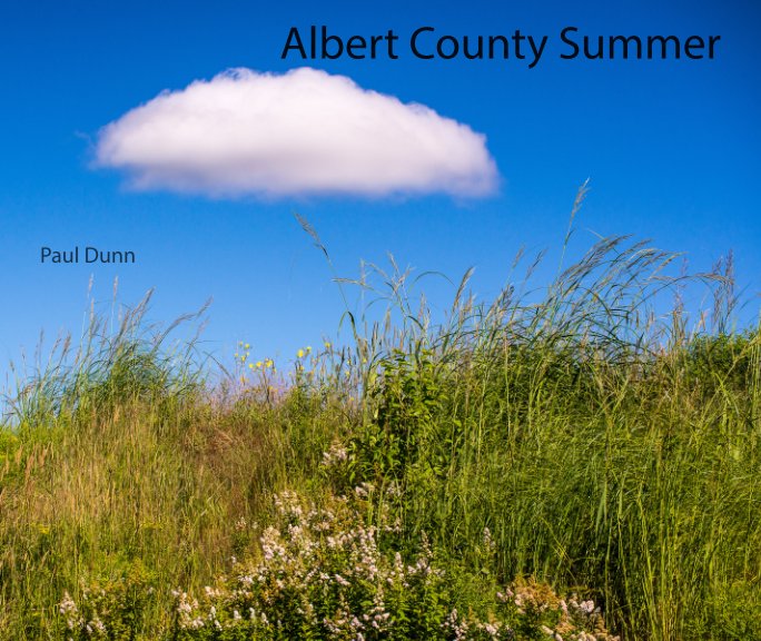 View Albert County Summer by Paul Dunn