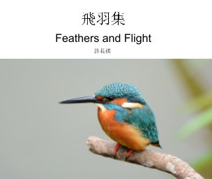 Feathers and Flight 飛羽集 book cover