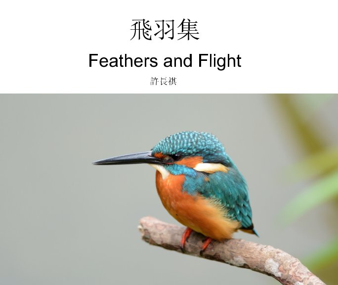 Ver Feathers and Flight 飛羽集 por Chang Chi Hsu  許長祺