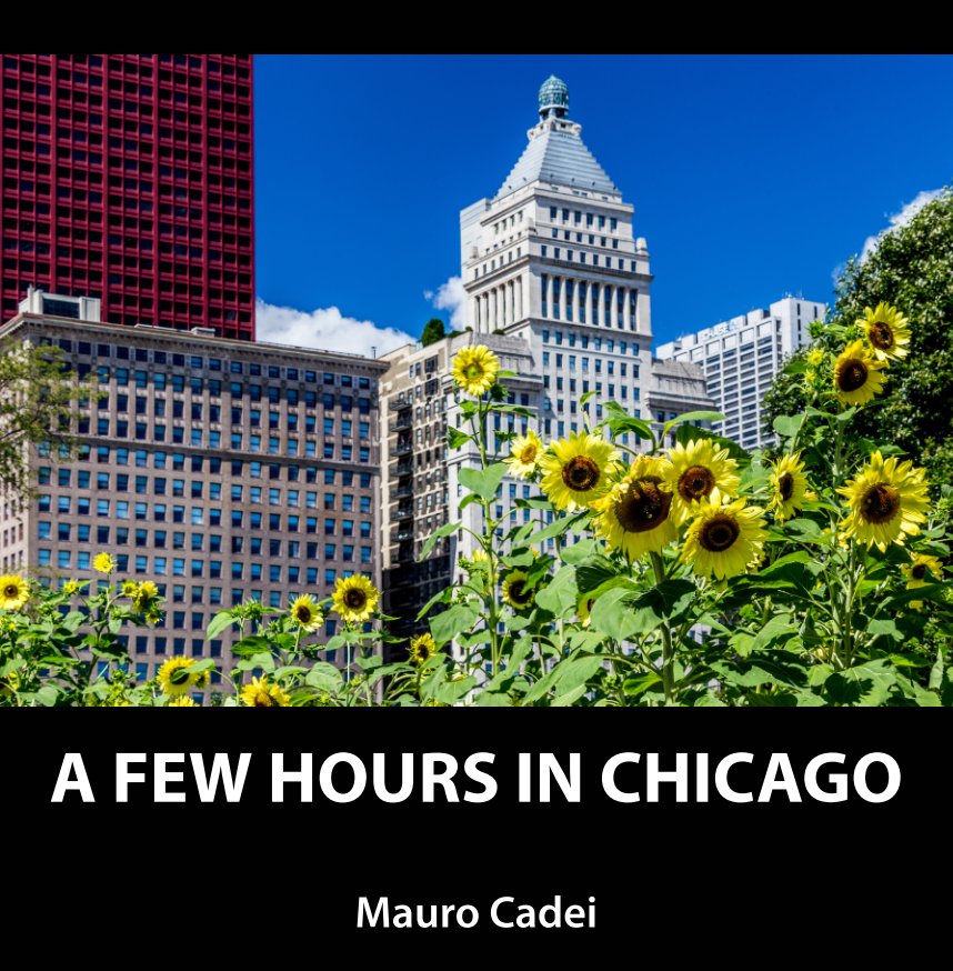 View A FEW HOURS IN CHICAGO by Mauro Cadei