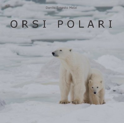 Orsi polari book cover