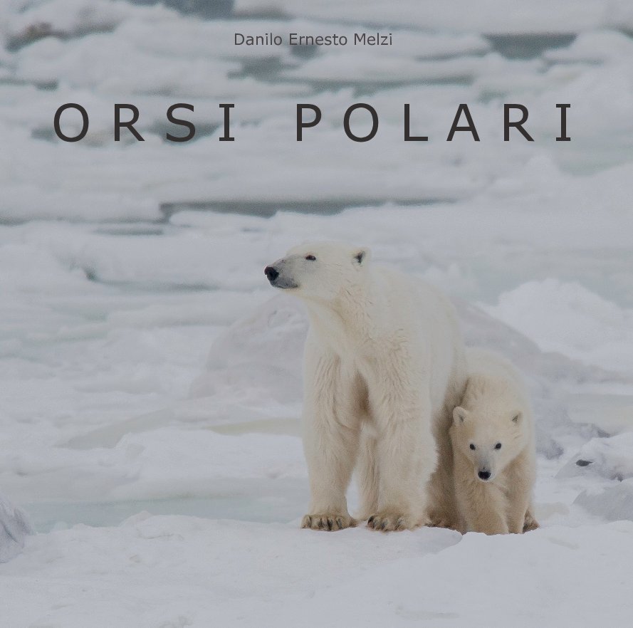 View Orsi polari by Danilo Ernesto Melzi