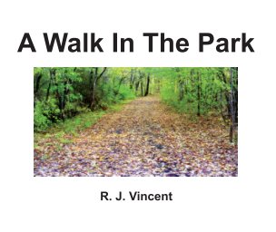A Walk In The Park book cover