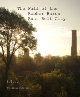 The Fall of the Robber Baron Rust Belt City book cover