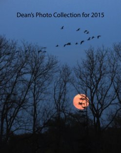Dean's Photo Collection for 2015 book cover