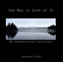 One Way to Look at It book cover