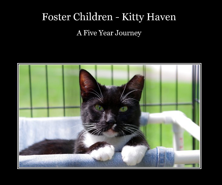 Visualizza Foster Children - Kitty Haven di Todd Parker